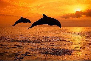 恐怖游戏《雾雨飘零之森》将重制 2022年登陆Steam